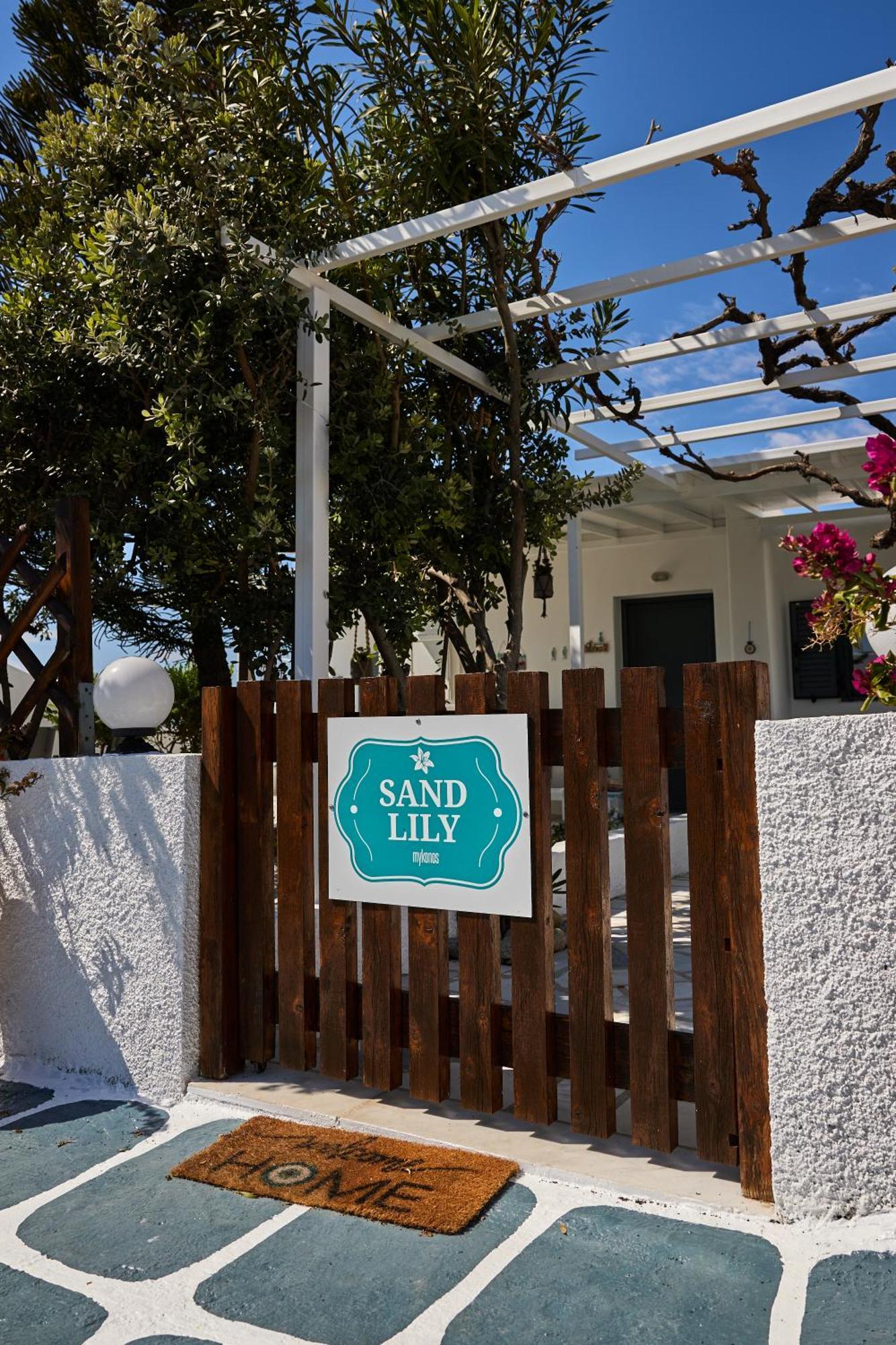 Sand Lily Villa Mykonos Mykonos Town エクステリア 写真