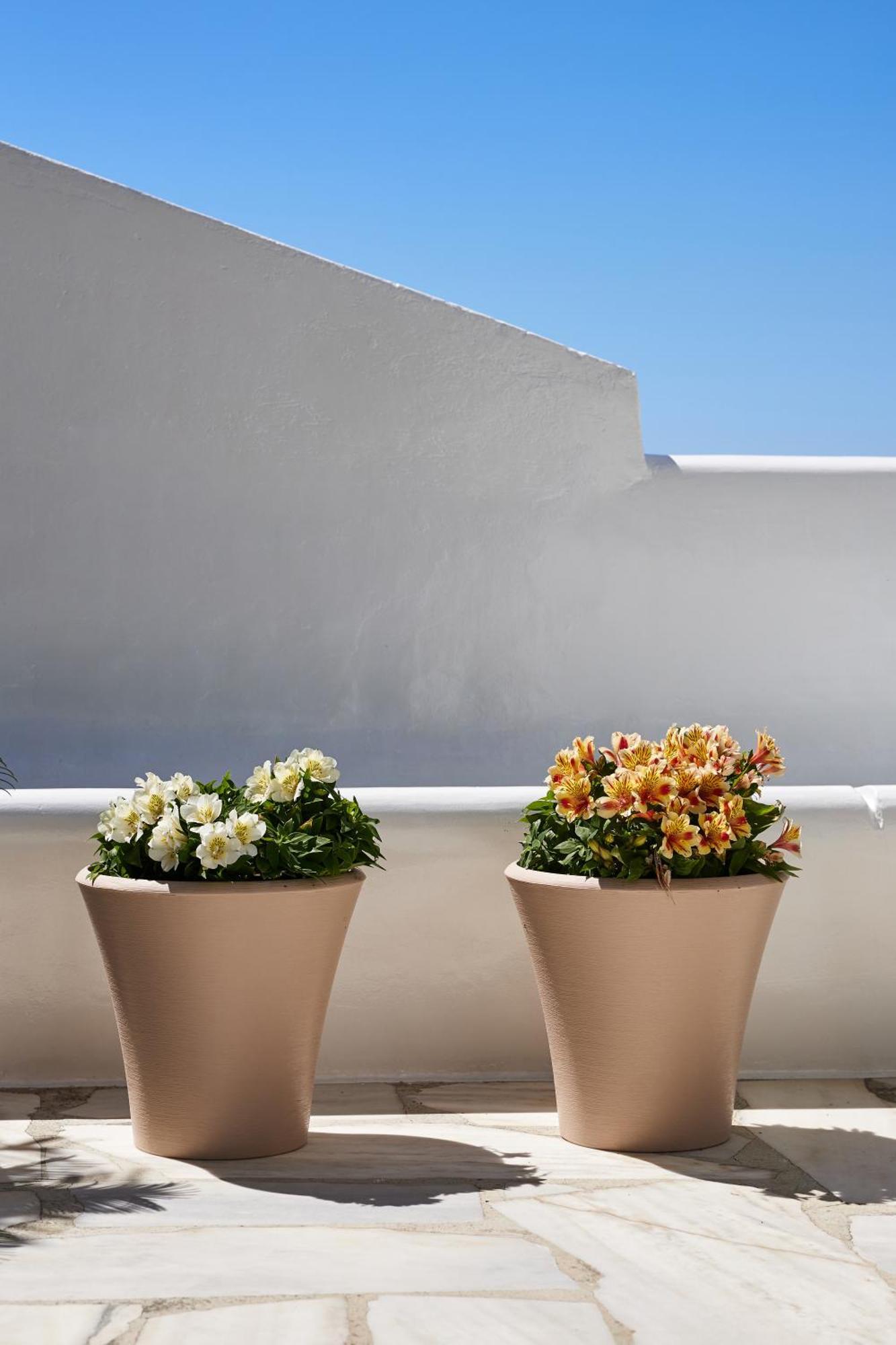 Sand Lily Villa Mykonos Mykonos Town エクステリア 写真
